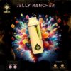 ACE JELLY RANCHER