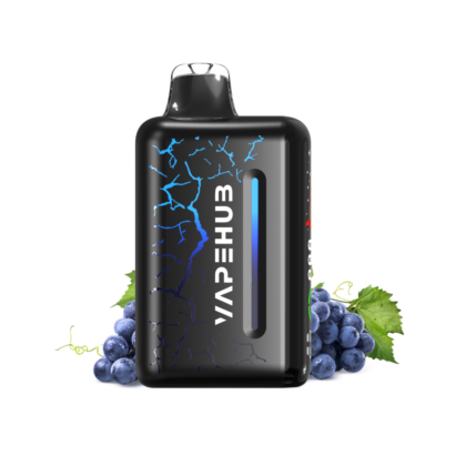 BLUEBERRY BLAST STORM – VAPEHUB ULTRA 20000