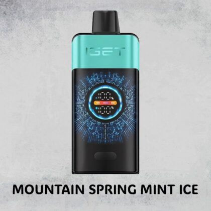 MOUNTAIN SPRING MINT ICE – IGET ONE – 12000 PUFFS